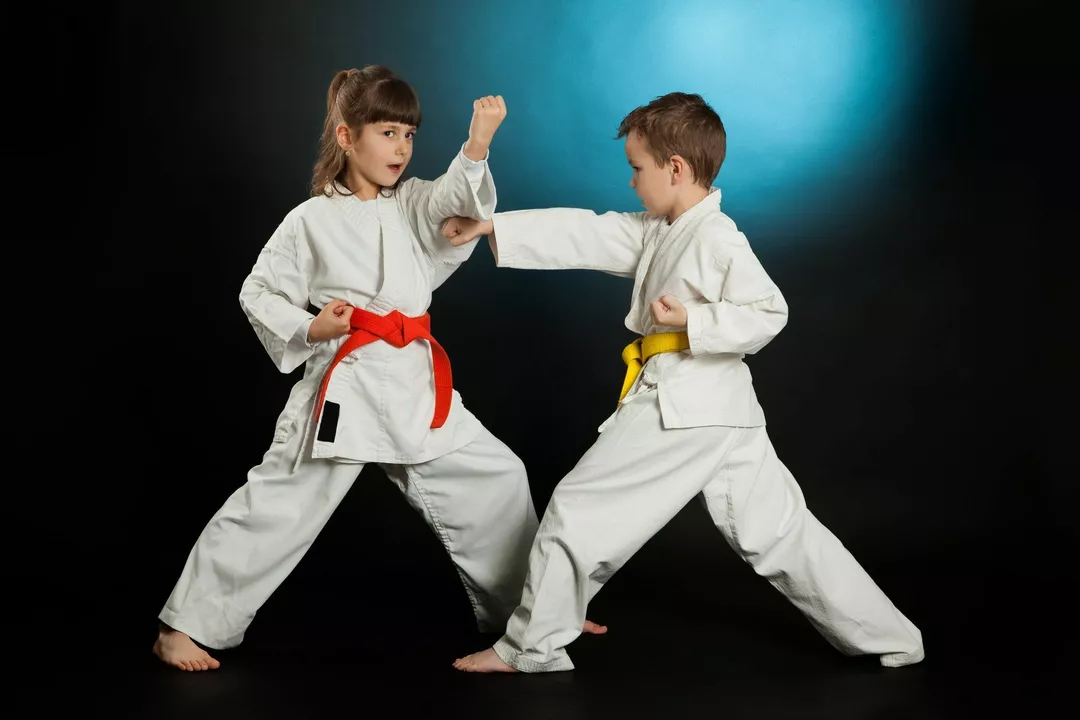 Welke is de beste stijl van karate in de wereld?